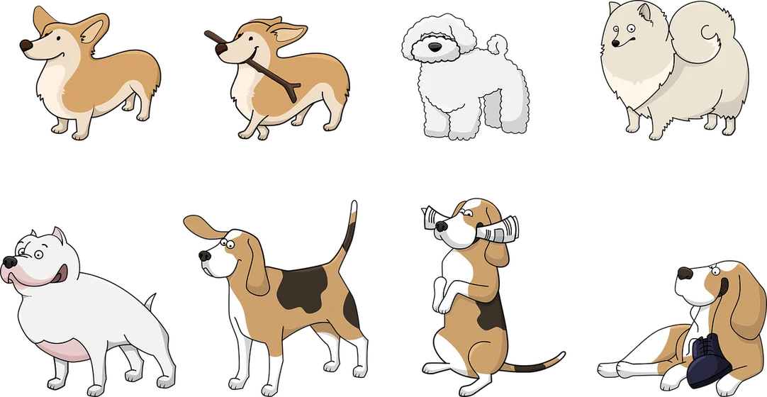Names For My Dog - Find the Perfect Name for Your Pup